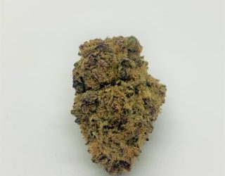 Purple Punch – Secret Stash