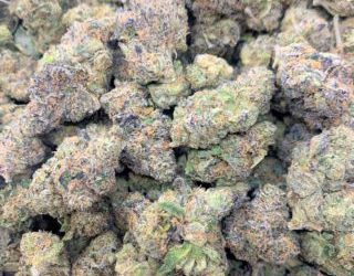 Purple Cadillac – Secret Stash